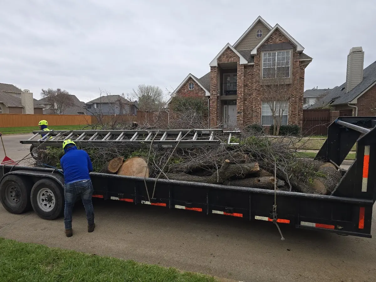 Expert Tree Pest Control with proper safety equipment in Lomira